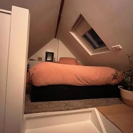 Tiny House 代夫特